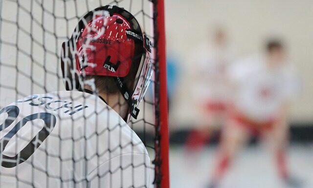 Co daje bramka Xiaomi? Co daje bramka Xiaomi?