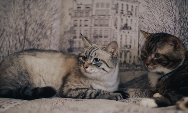 Co daje znajomość SQL?