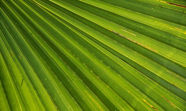 Co jest ważne w realizowaniu marzeń?