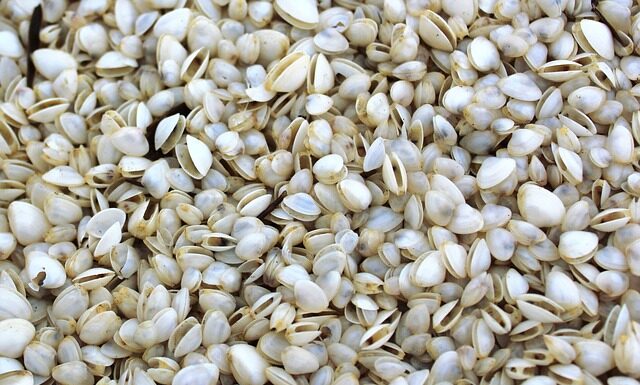 Ile kosztuje system Grenton? Ile kosztuje system Grenton?