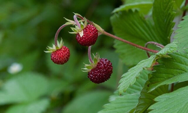 Kto pierwszy powinien się przywitać? Kto pierwszy powinien się przywitać?