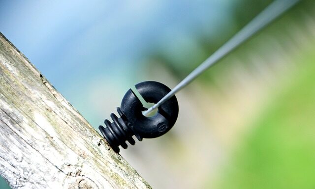 Ile procent Polaków ma średnie wykształcenie?