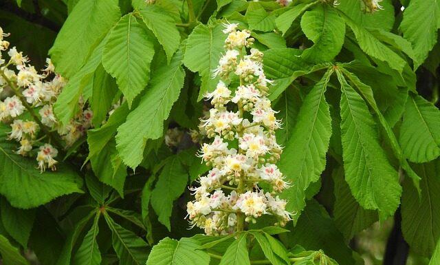 Czy na studiach prywatnych liczy się matura?