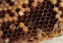 Czy ZigBee jest bezpieczne? Czy ZigBee jest bezpieczne?