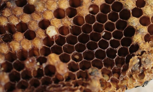 Czy ZigBee jest bezpieczne? Czy ZigBee jest bezpieczne?