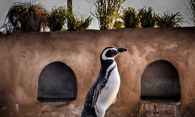 Jak długo trwają wakacje w USA? Jak długo trwają wakacje w USA?