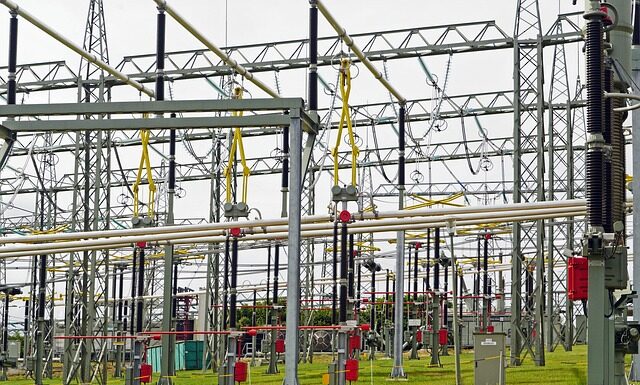 Jakie jest najwyższe wykształcenie?