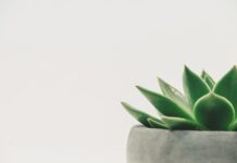 Jaka powinna być minimalna temperatura na piecu CO? Jaka powinna być minimalna temperatura na piecu CO?