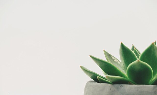 Jaka powinna być minimalna temperatura na piecu CO?