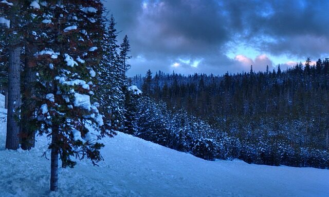 Czy po licencjacie ma się zawód?