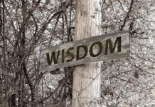 Ile wynosi stypendium doktoranckie netto? Ile wynosi stypendium doktoranckie netto?