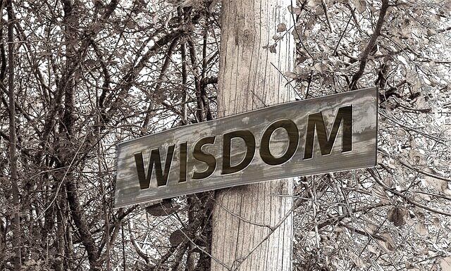 Ile wynosi stypendium doktoranckie netto?